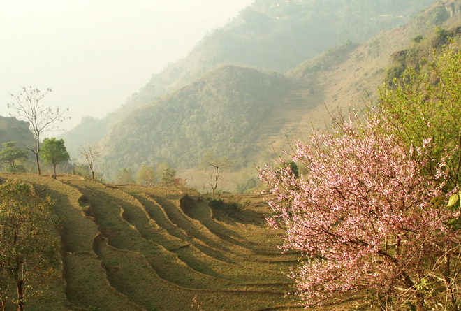 Mùa hoa gọi tên Tây Bắc